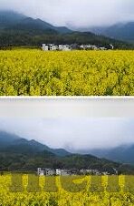 中韩足球比分-中韩足球比分背后的较量，历史、现状与未来展望